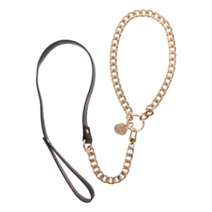 Collier et laisse  design élégant