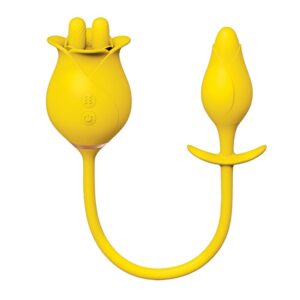 Ensemble de plugs de plaisir pour clitoris