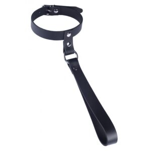 Collier en cuir rouge avec laisse courte