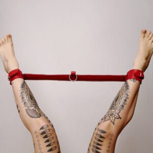 Barre de contrainte en cuir avec anneau rouge