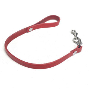 Laisse en cuir rouge