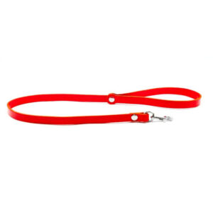 Laisse en cuir rouge