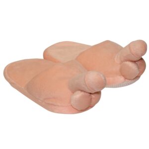 Chaussons en forme de pénis