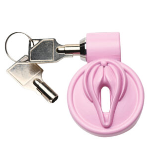 Cage de chasteté pour vulve