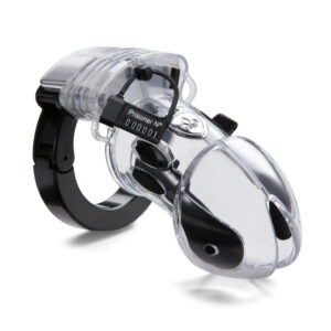 Set d'amélioration E-Stim pour stimulation pubienne