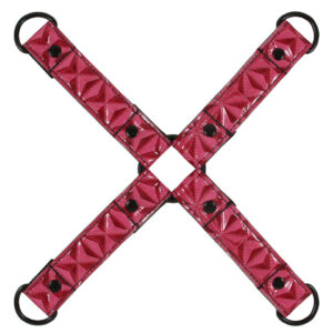 Attache de bondage rose avec harnais