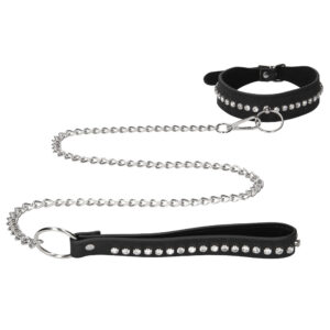 Collier clouté avec laisse