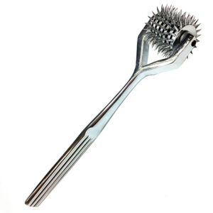 Axe à roues en acier inoxydable