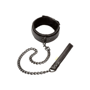 Collier et laisse ajustables pour animaux