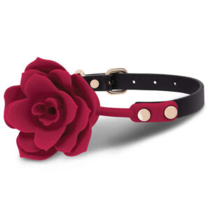 Bâillon en silicone rose pour jeux de rôle