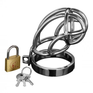 Cage de chasteté en acier inoxydable avec verrouillage