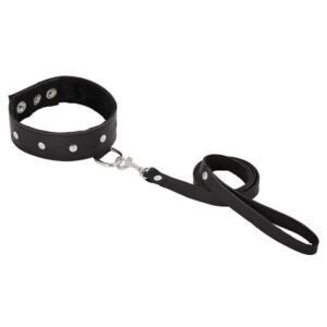 Laisse en cuir avec collier